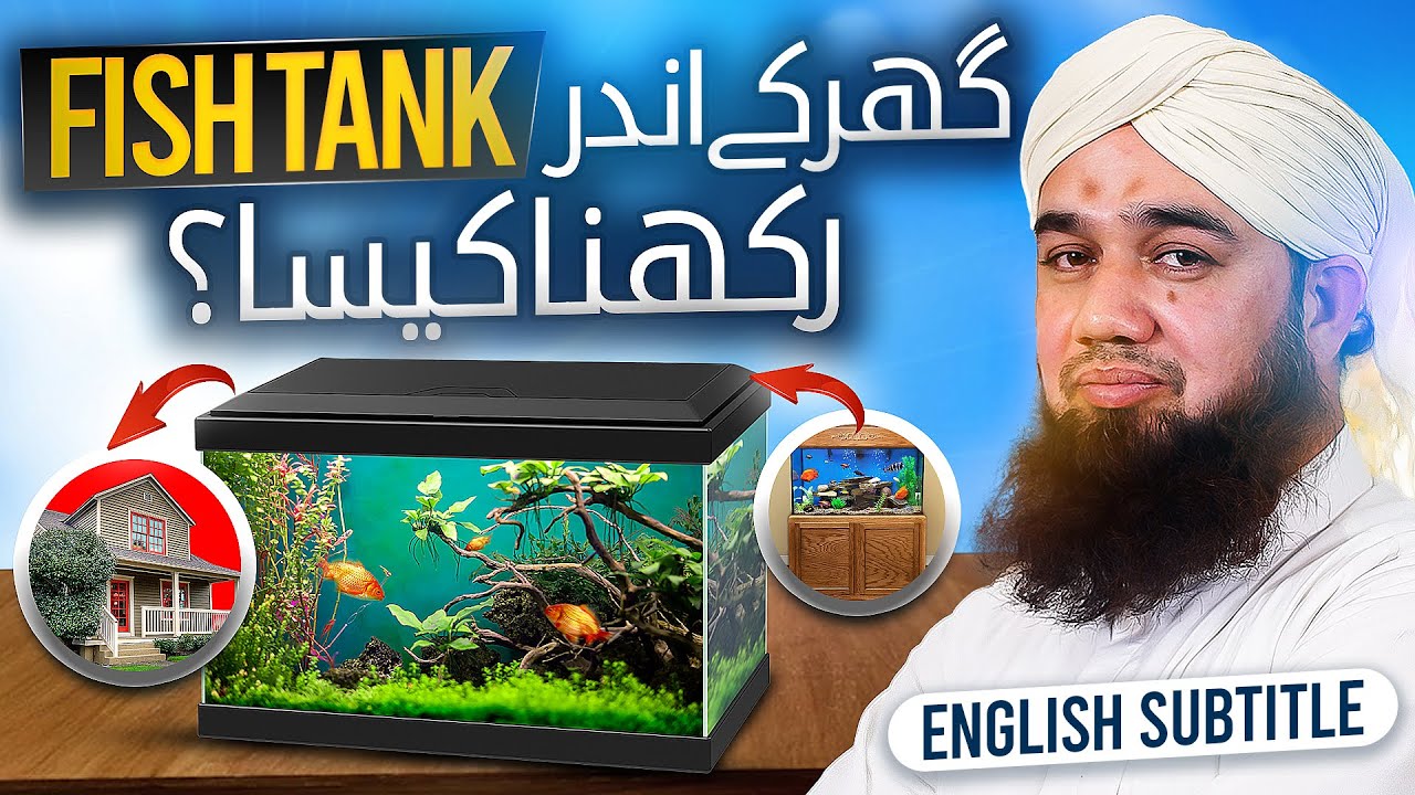 Ghar Me Fish Tank Rakhna Kaisa?